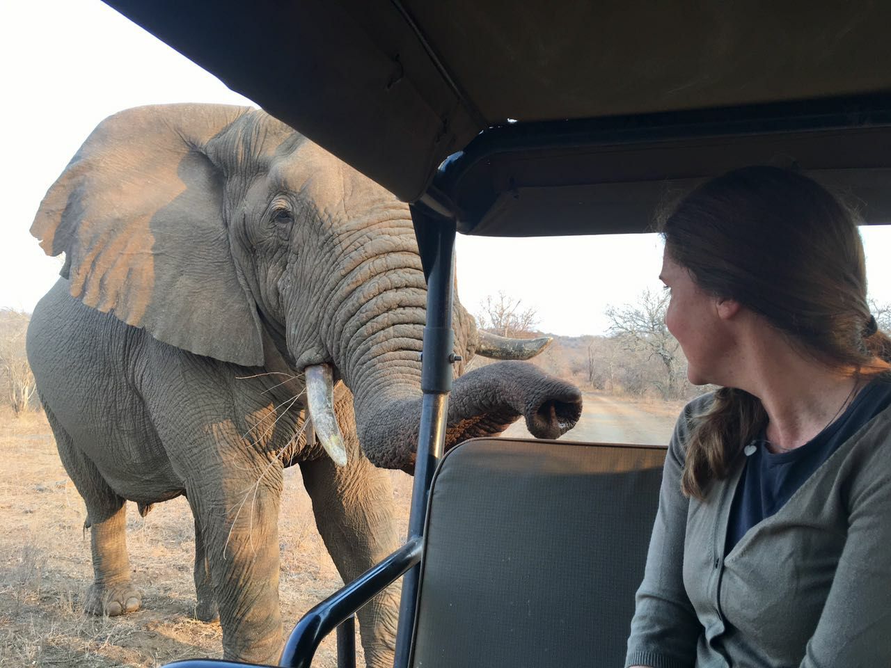 Contact Wild Connection — Lundy and team KwaZulu-Natal South Africa conservation
