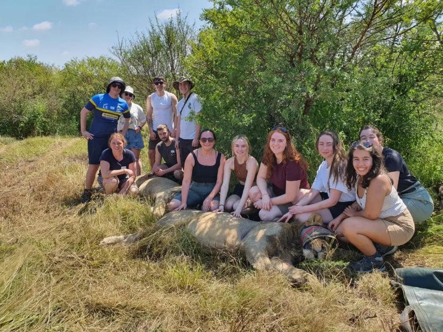 Wildlife intervention — rhino and elephant monitoring and protection at Nambiti KwaZulu-Natal