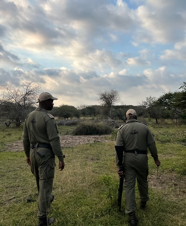 Anti-poaching walk with rangers on Nambiti Big Five private reserve, rhino protection South Africa