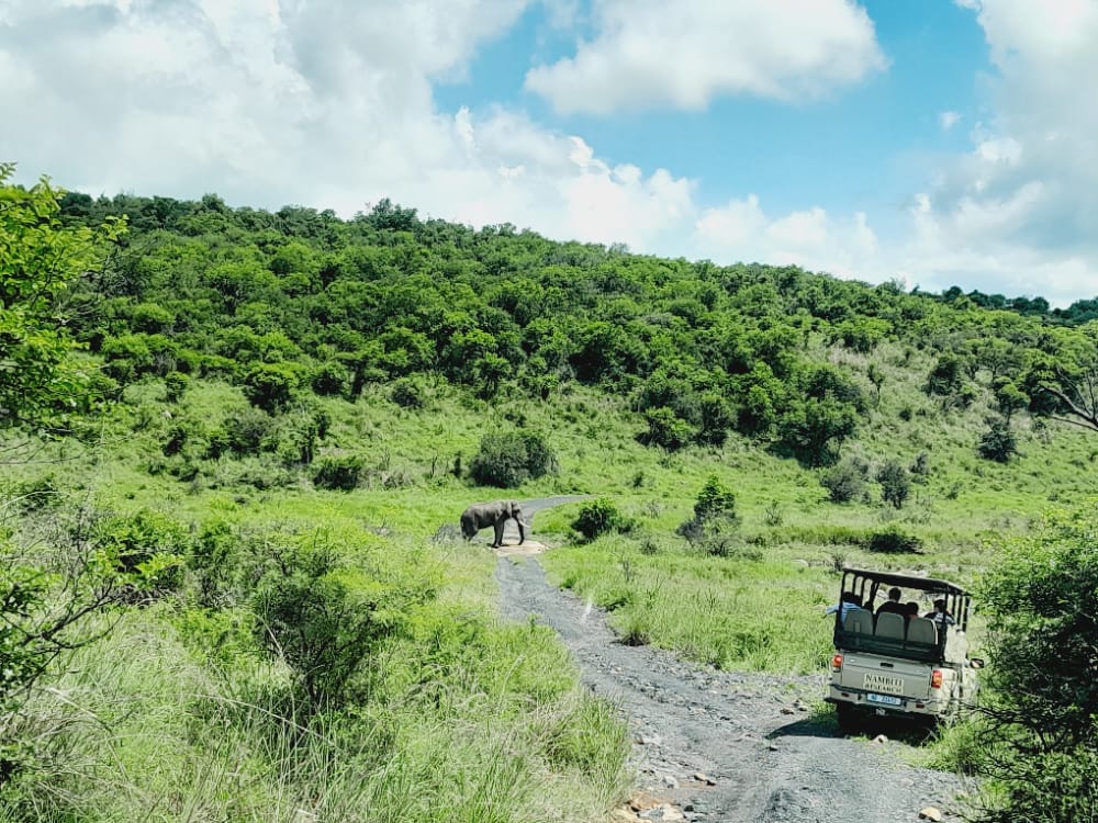 Zululand Experience — iSimangaliso Wetland Park wildlife and community KwaZulu-Natal South Africa