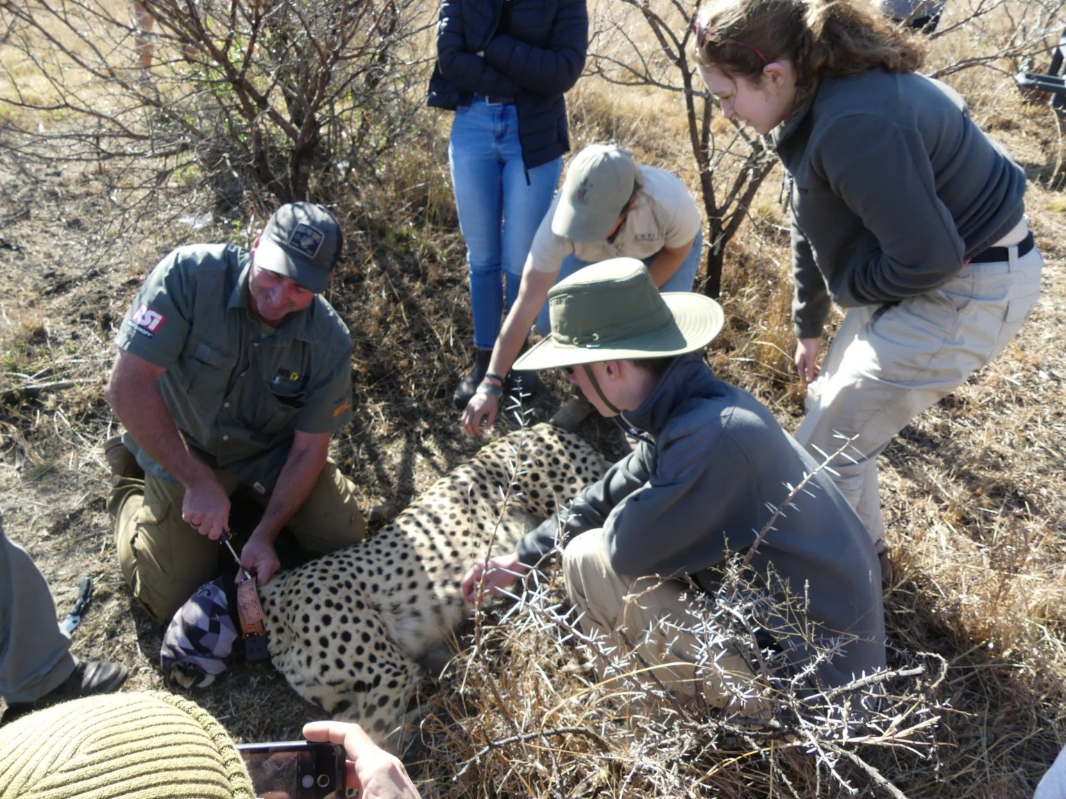 Zululand wildlife experience — K9 unit demonstration and snare sweep South Africa