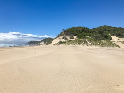 iSimangaliso Wetland Park safari and Cape Vidal Beach snorkelling, KwaZulu-Natal South Africa