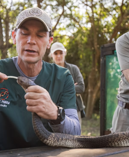 The Snake Pharm — anti-venom research and live snake removal demonstration, Zululand KZN